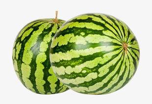 网红大瓜下载,下载背后的惊人真相