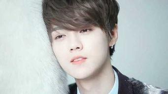 =明星明星宣布新作 吃料,明星倾情献映全新力作